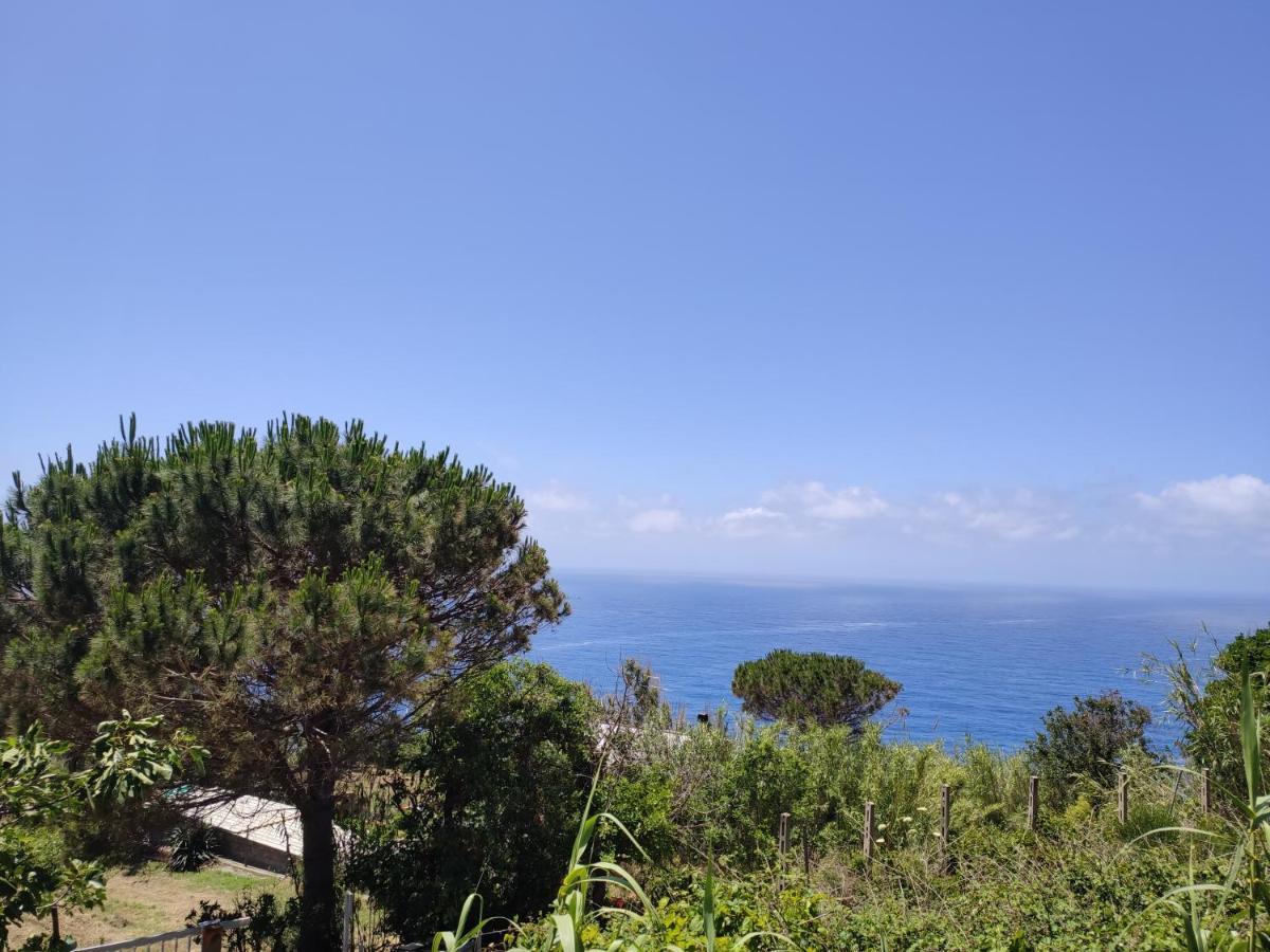Apartamento Casa De Somma Forio di Ischia Exterior foto